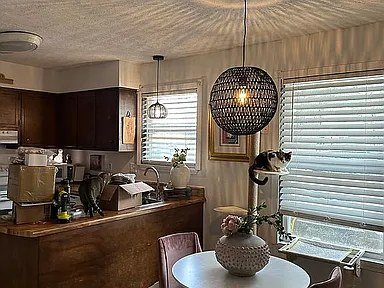 6201 Forest Pines Dr in Bellview, FL